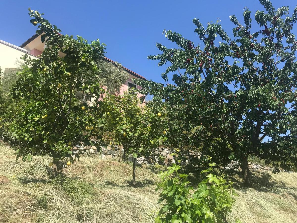 كاسارزا ليغير Villa Teresa المظهر الخارجي الصورة