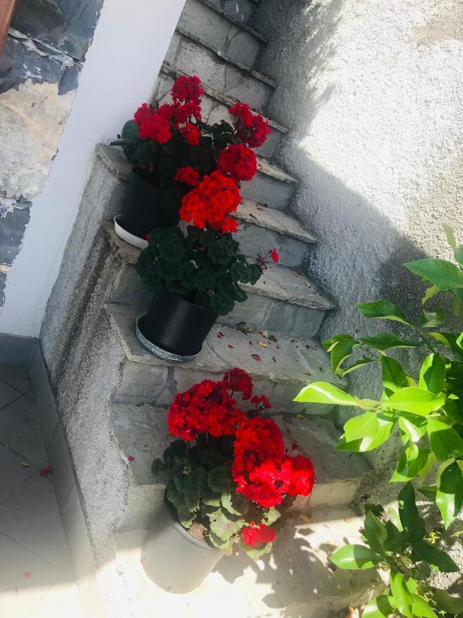 كاسارزا ليغير Villa Teresa المظهر الخارجي الصورة