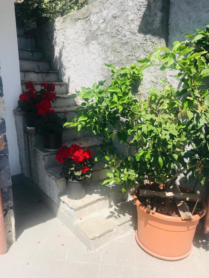 كاسارزا ليغير Villa Teresa المظهر الخارجي الصورة